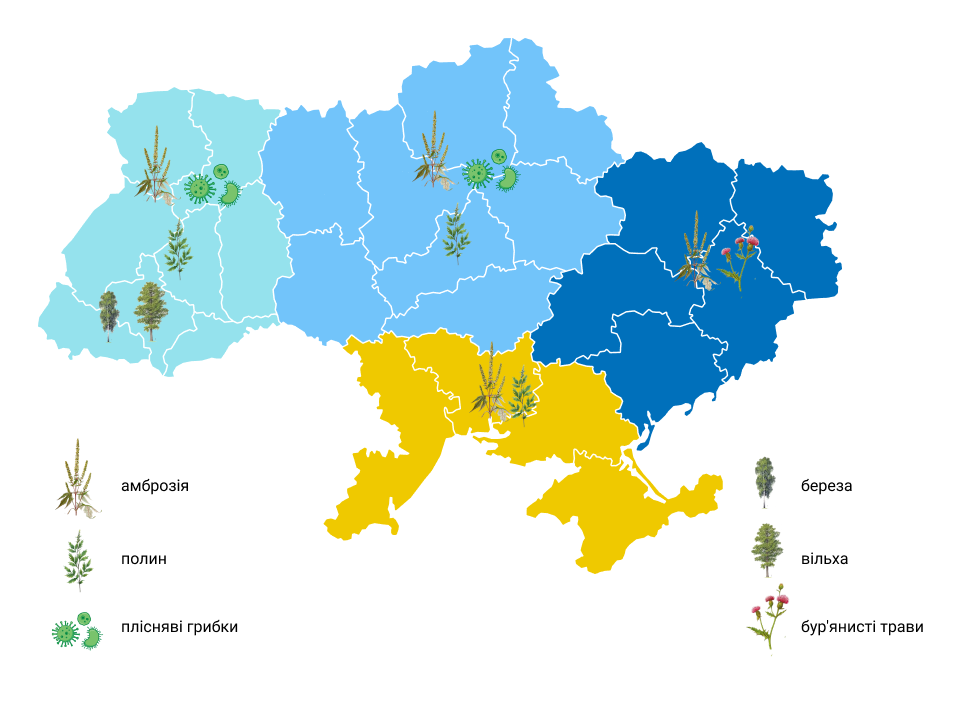 Карта алергенів в Україні восени 2024 року